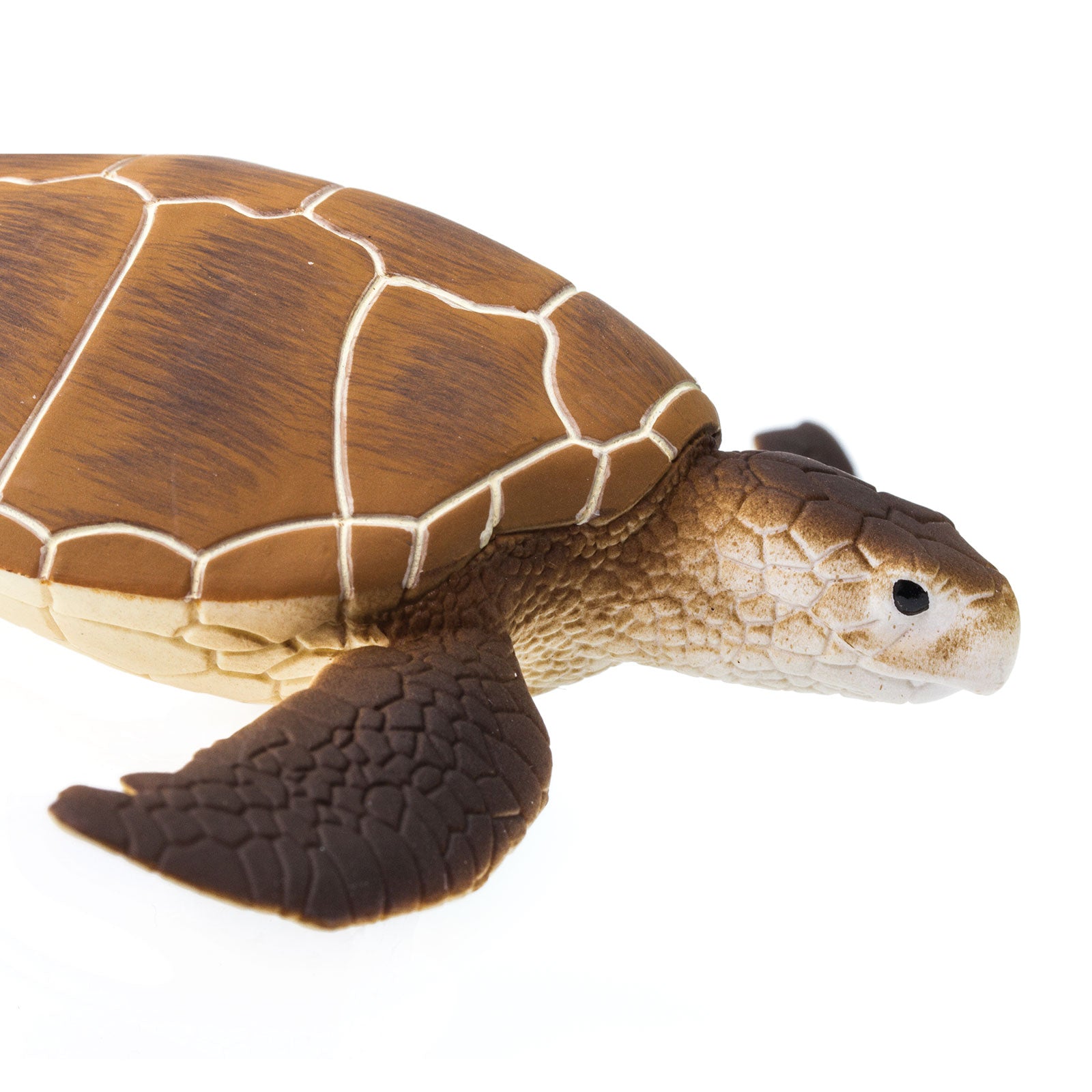 Green Sea Turtle Toy