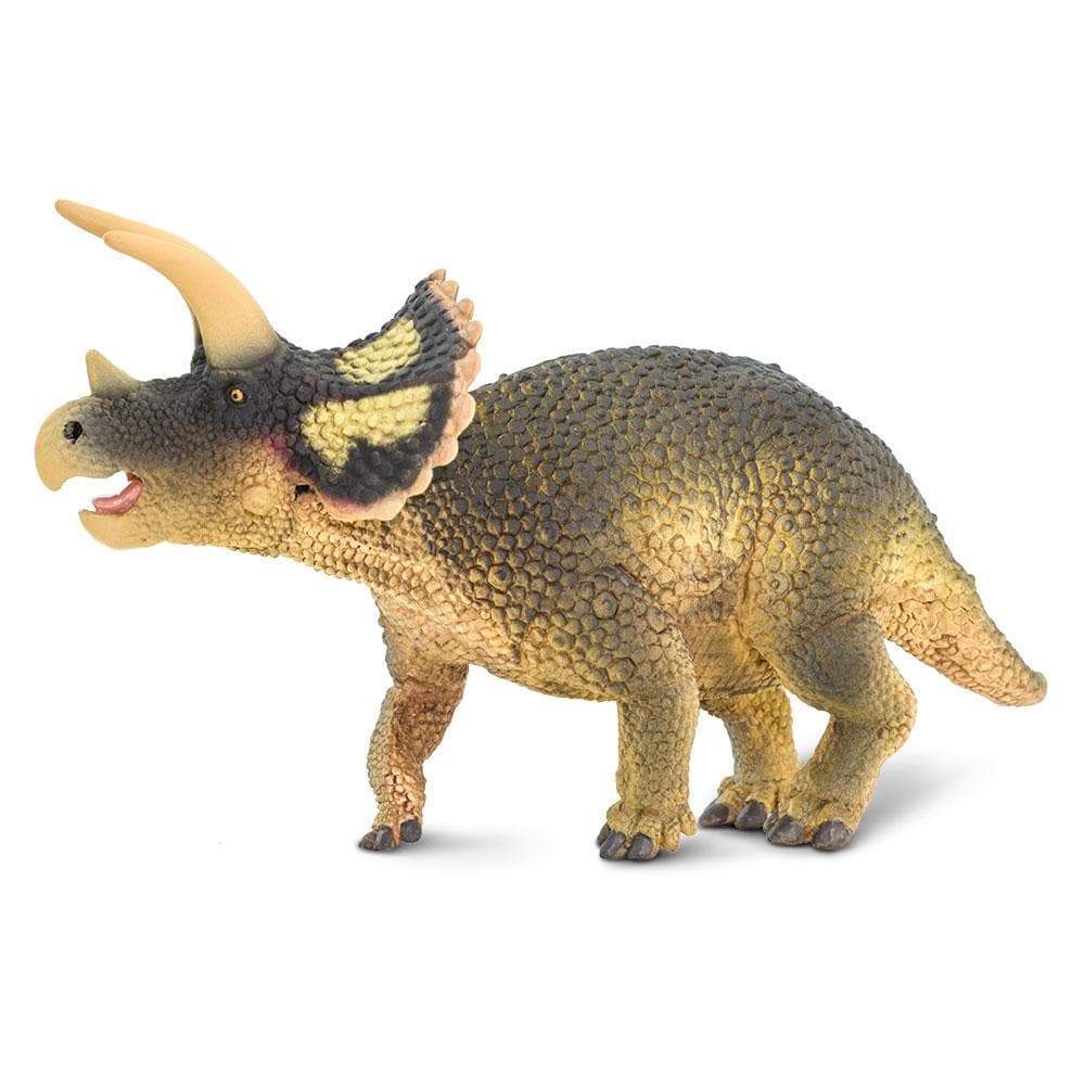 Triceratops Toy | Dinosaur Toys | Safari Ltd.