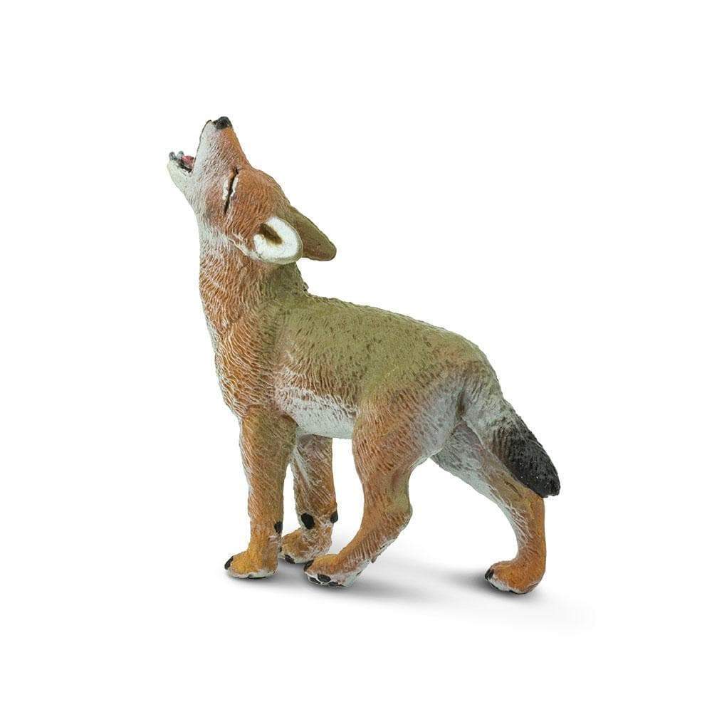 Coyote Pup Toy | Wildlife Animal Toys | Safari Ltd®