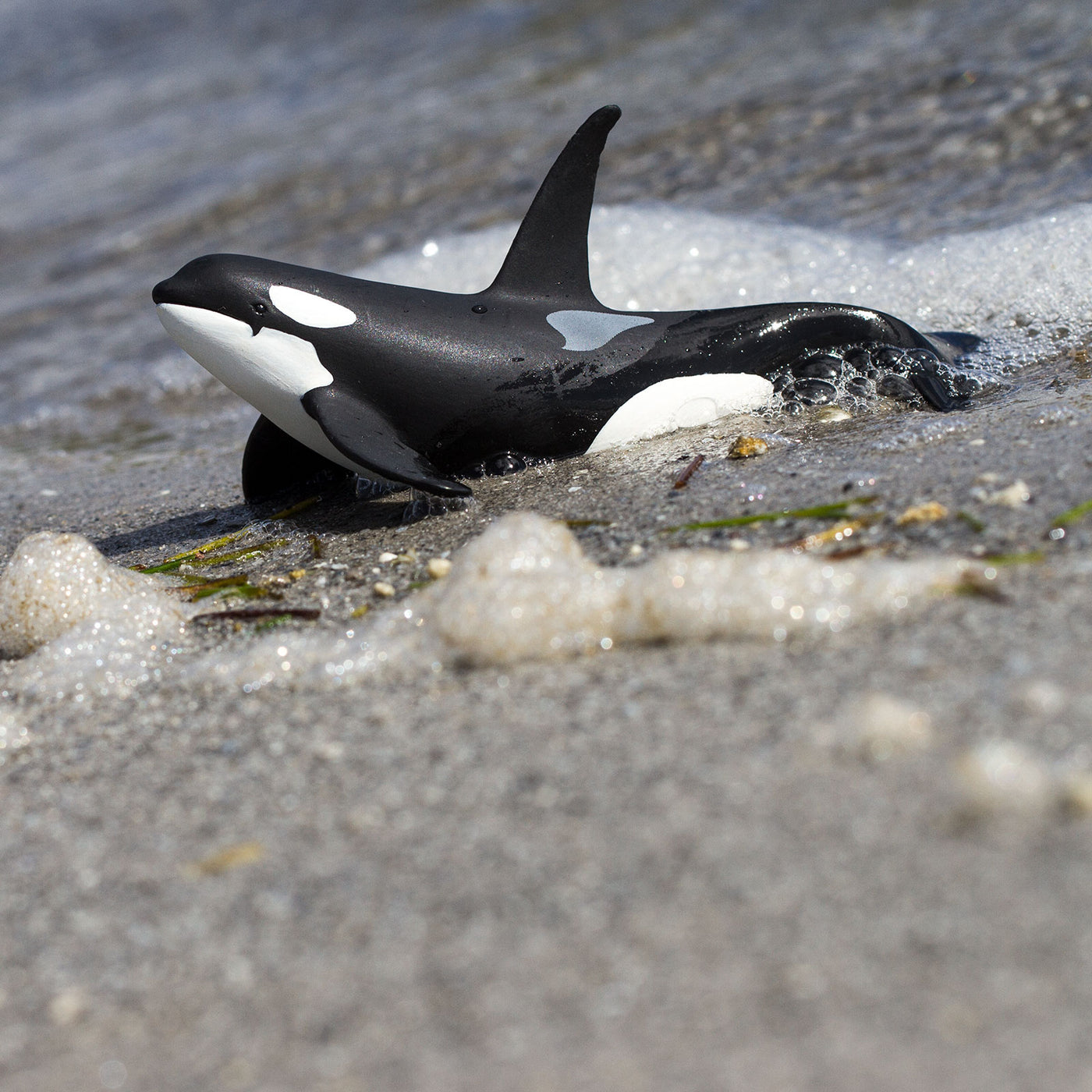 Orca Toy