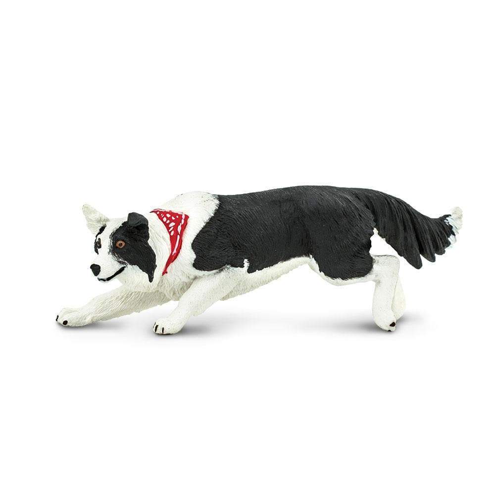 Border Collie - Safari Ltd®