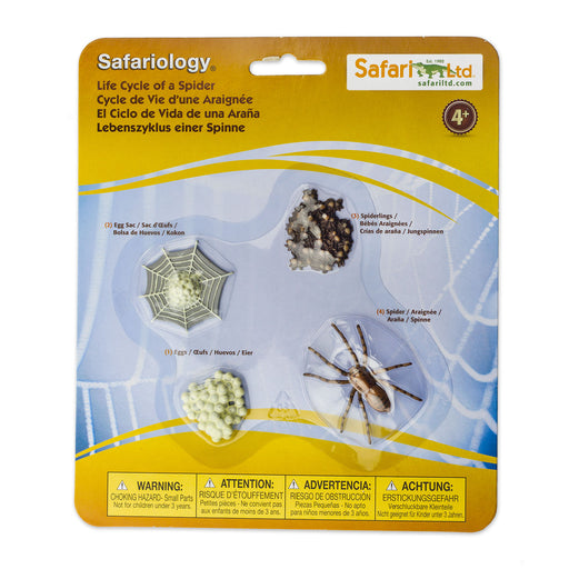  Safari Ltd. Life Cycle of a Honey Bee - Educational Toy  Figurines - Miniature Bee Lifecycle Collection for Boys, Girls & Kids Age  4+ : Office Products