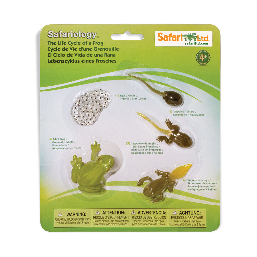 Life Cycle of a Frog - Safari Ltd®