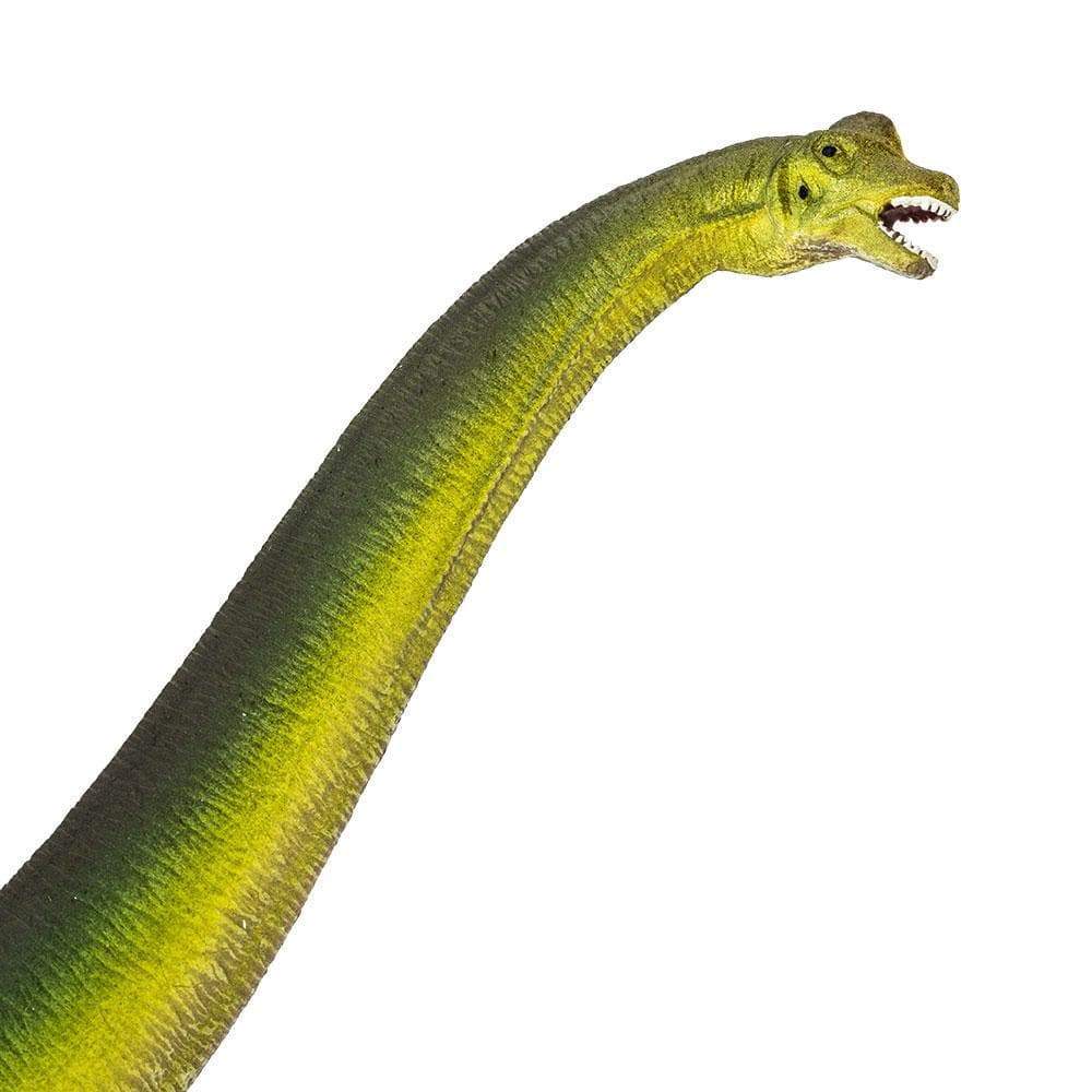 Brachiosaurus Toy