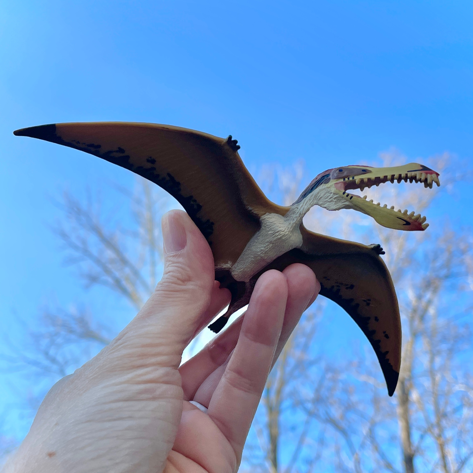 Pterosaur Toy