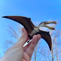 Pterosaur Toy