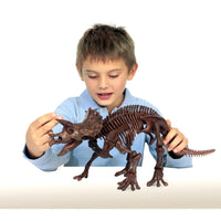 Dr. Steve Hunters GEOWorld Paleo Expedition Triceratops Replica Skeleton Kit - 28 pieces |  | Safari Ltd®