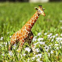 Reticulated Giraffe Toy