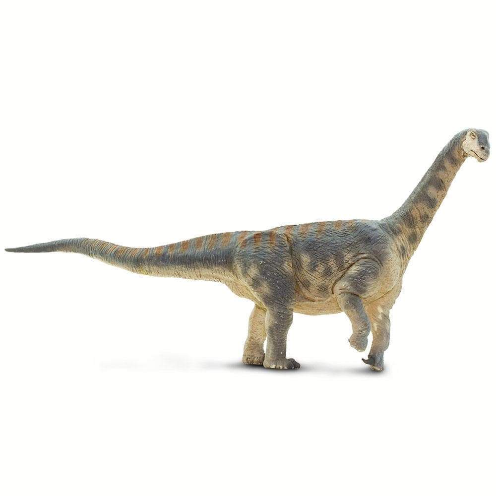 Camarasaurus Toy