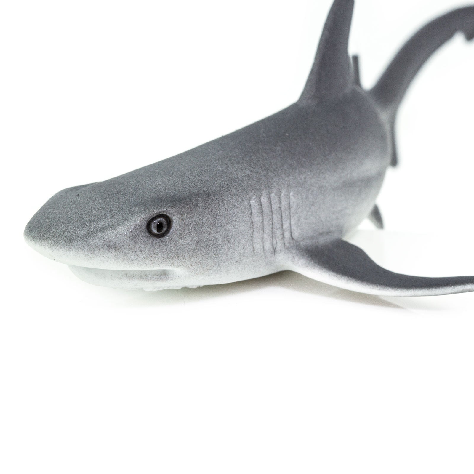 Whitetip Reef Shark Toy