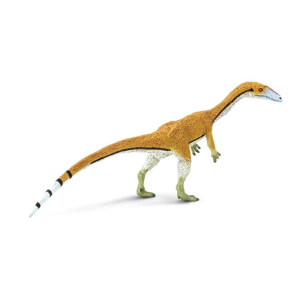 Coelophysis Toy | Dinosaur Toys | Safari Ltd.