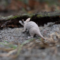 Aardvark Toy | Wildlife Animal Toys | Safari Ltd®