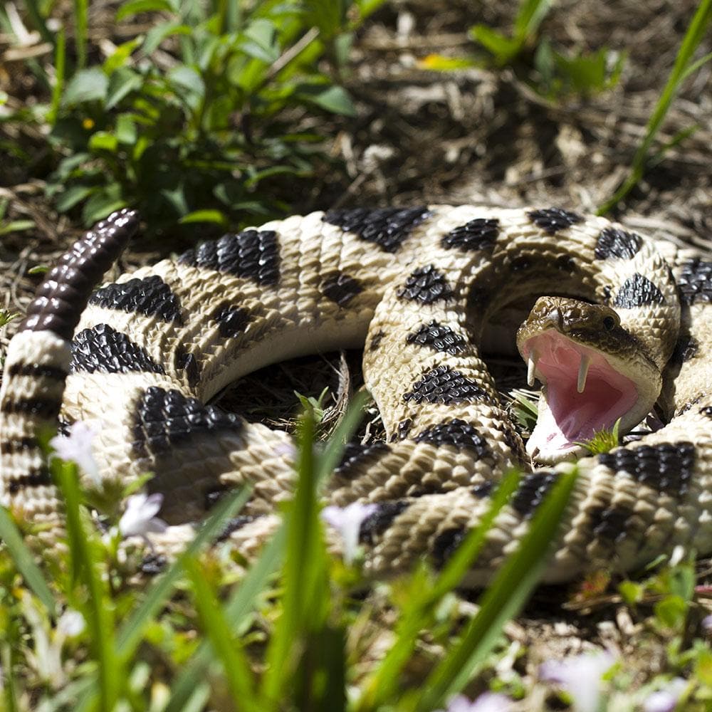 Eastern Diamondback Rattlesnake Toy | Incredible Creatures | Safari Ltd®