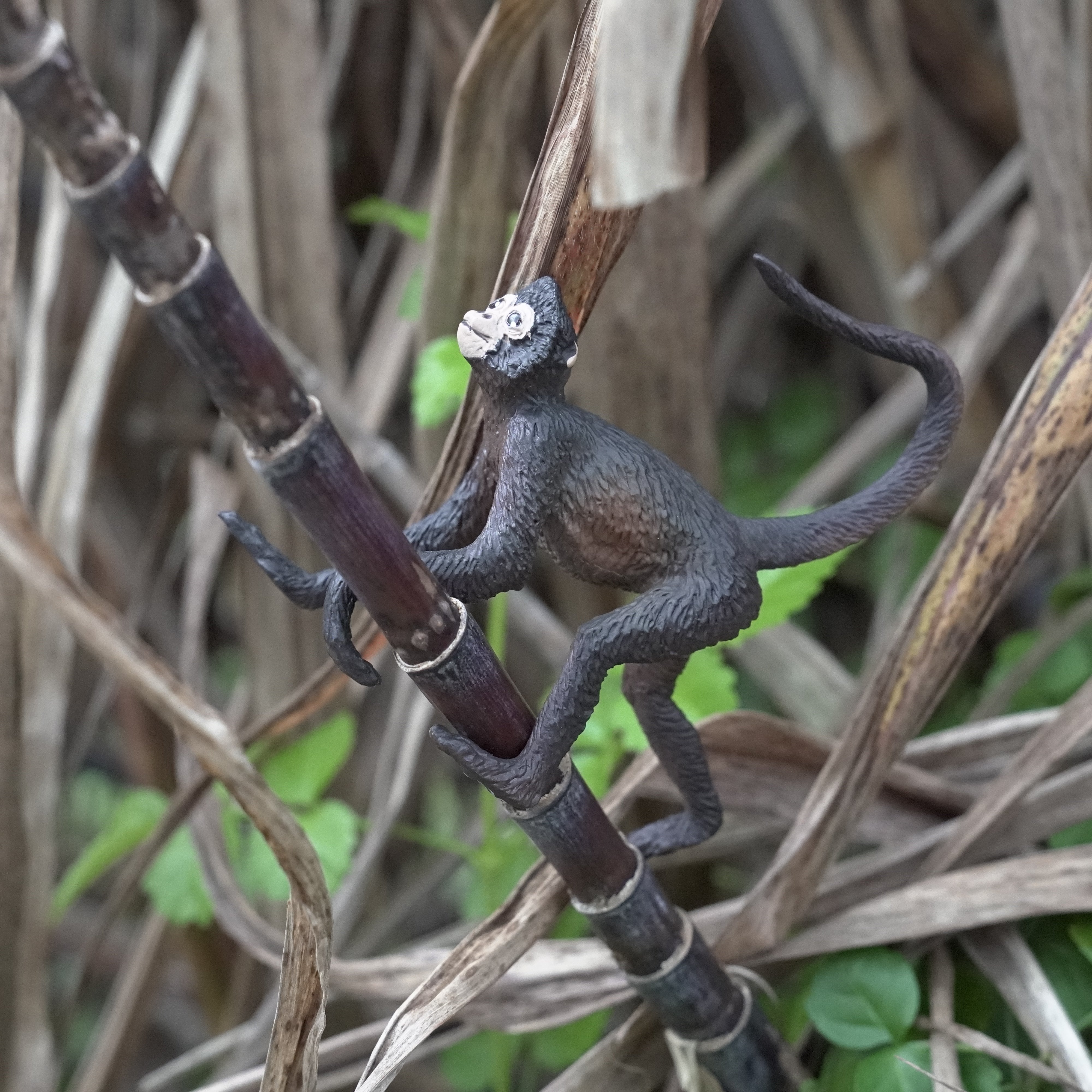 Spider Monkey Toy