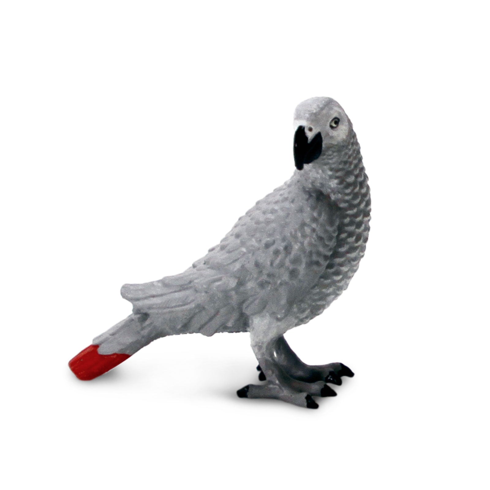 African grey accessories shops