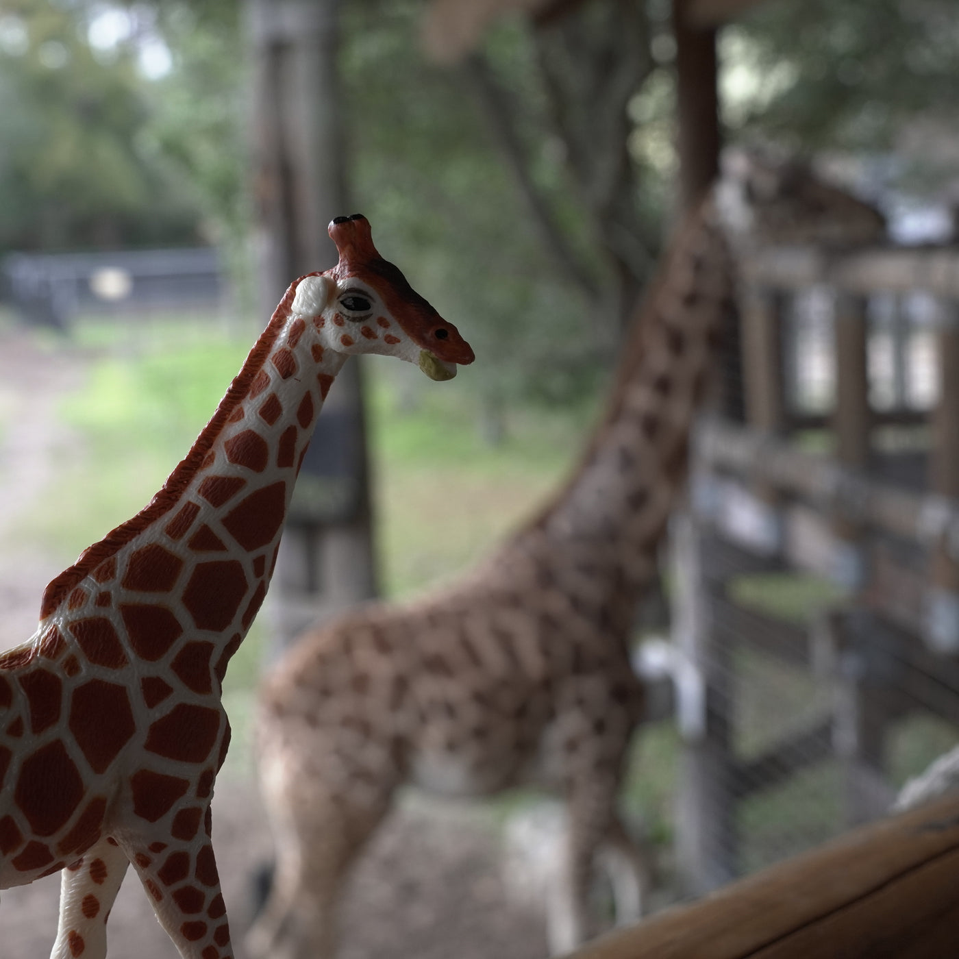 Reticulated Giraffe Toy