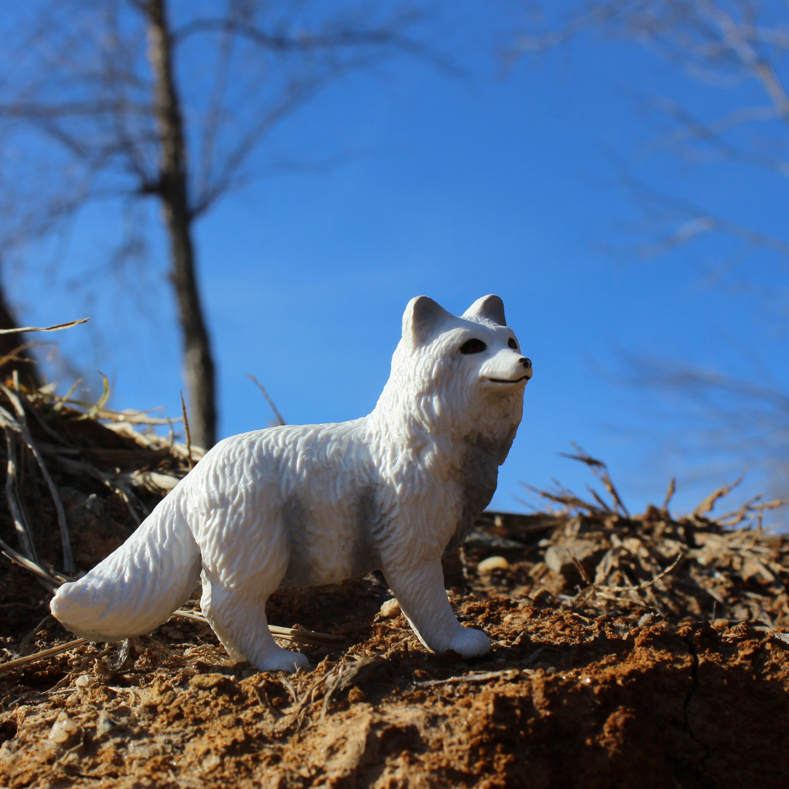 Arctic Fox Toy