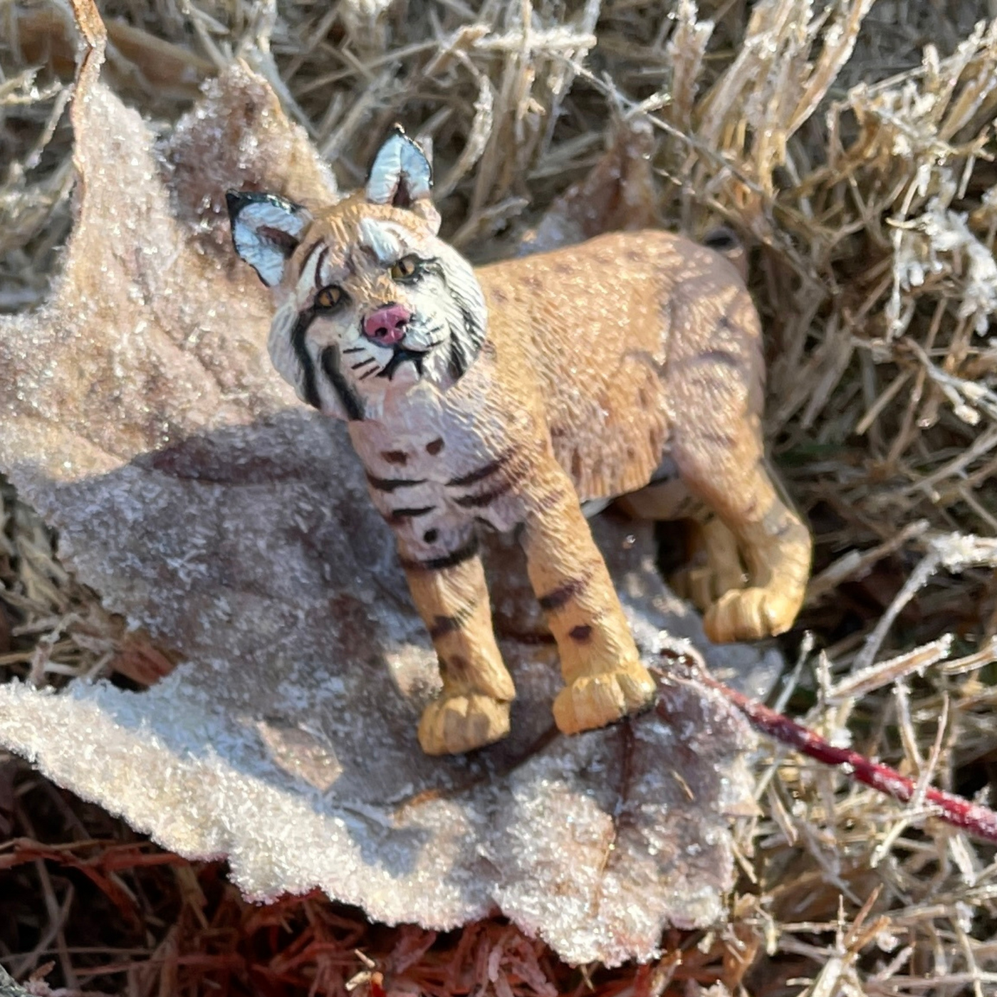 Bobcat Toy