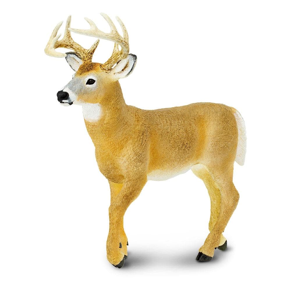 Whitetail Buck Toy