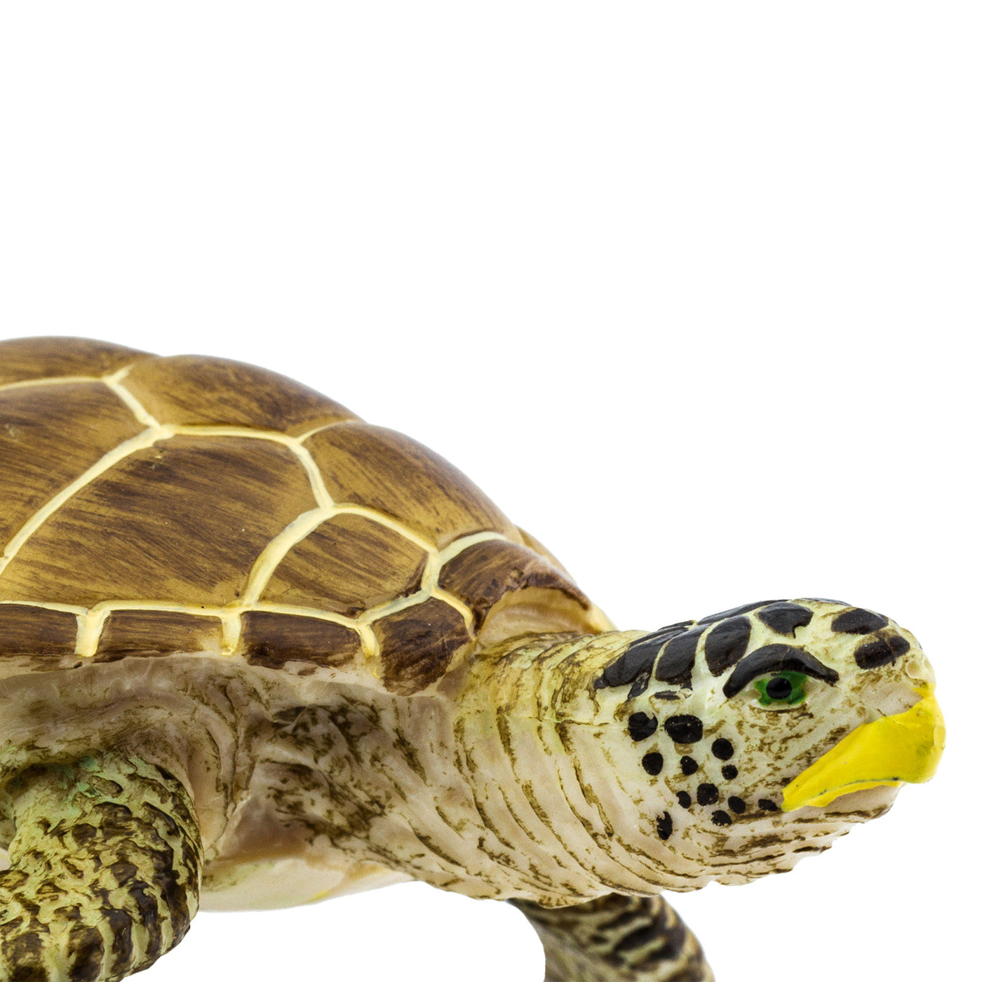 Loggerhead Turtle Toy