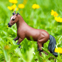 Thoroughbred Toy