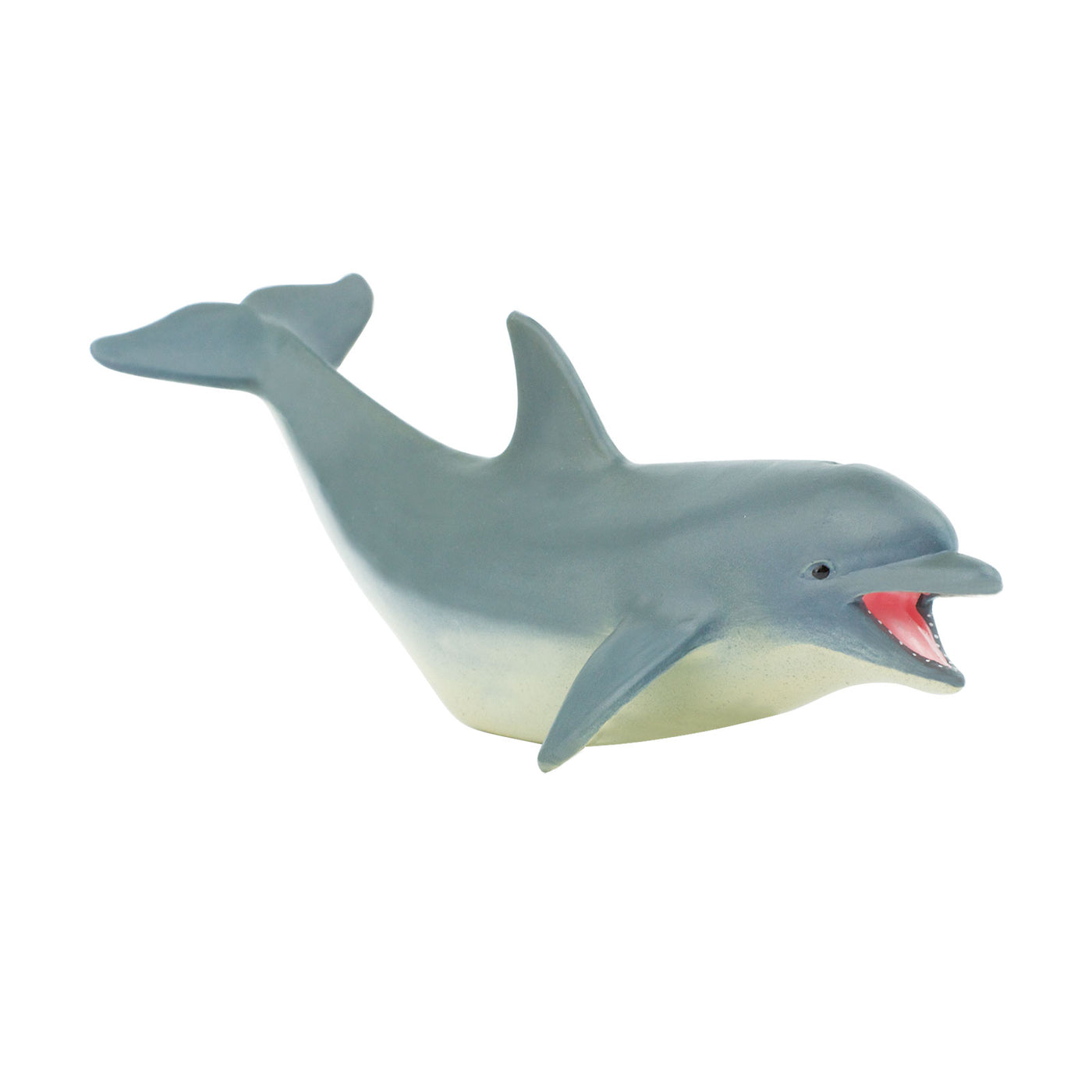 Dolphin Toy