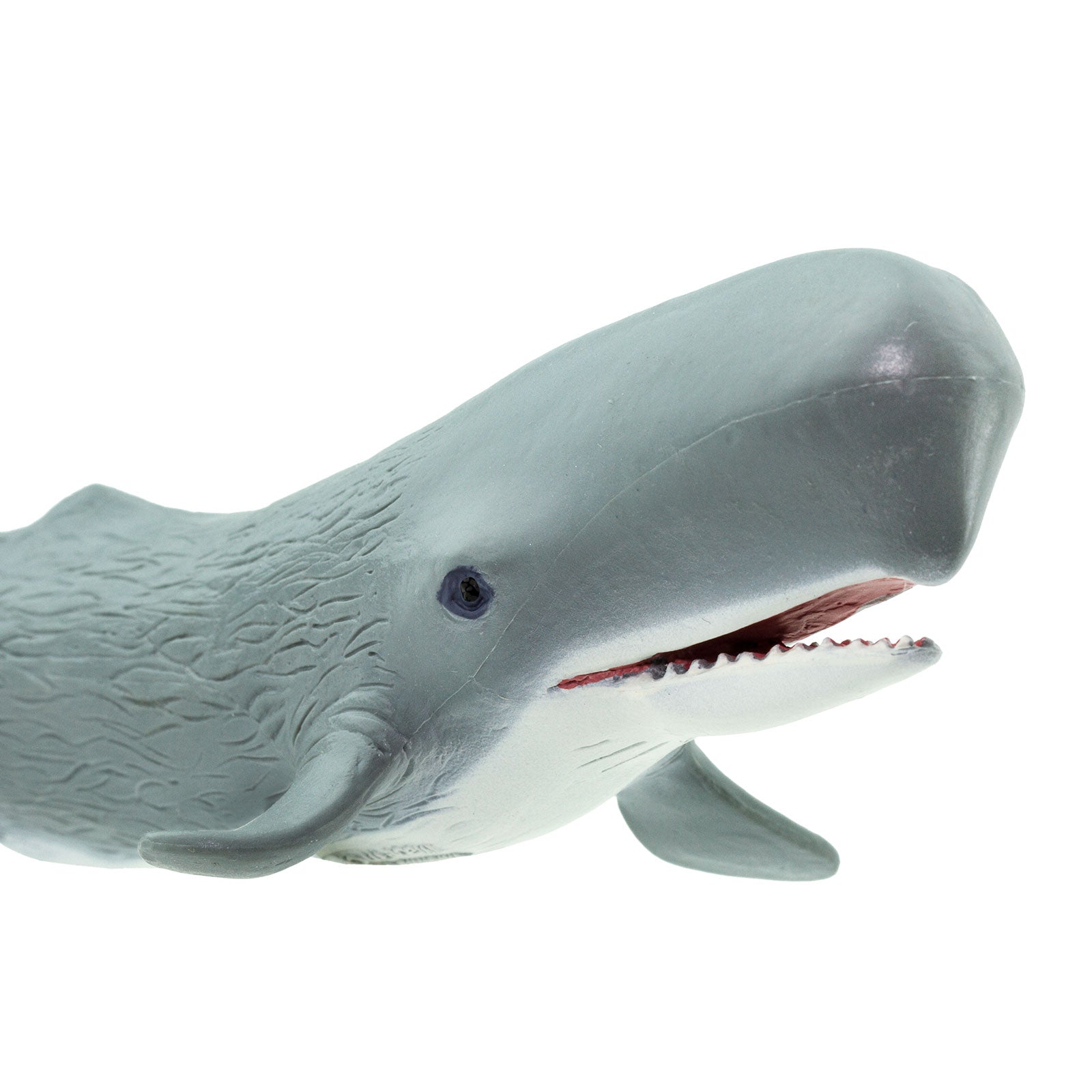 Sperm Whale Toy