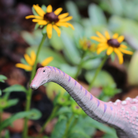 Saltasaurus Dinosaur Toy Figure |  | Safari Ltd®