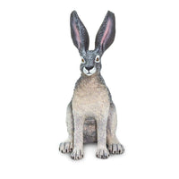 American Desert Hare Toy | Wildlife Animal Toys | Safari Ltd.