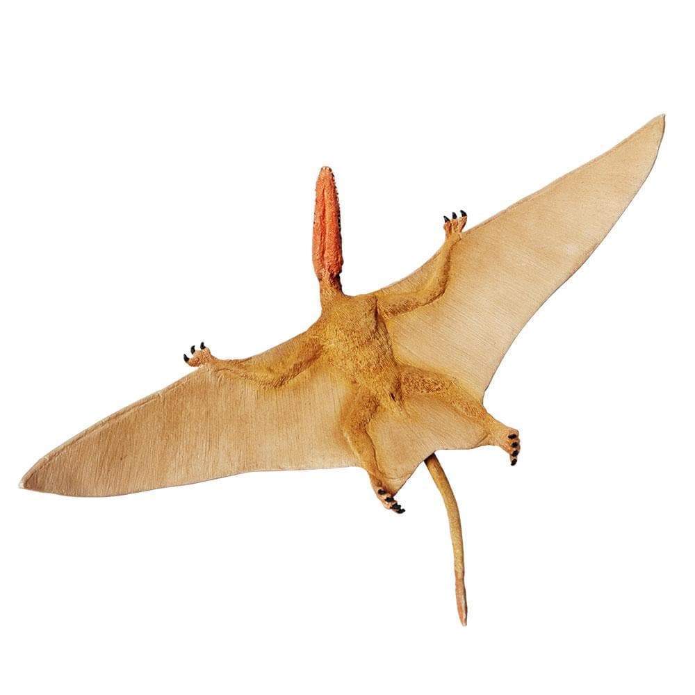 Dimorphodon Toy