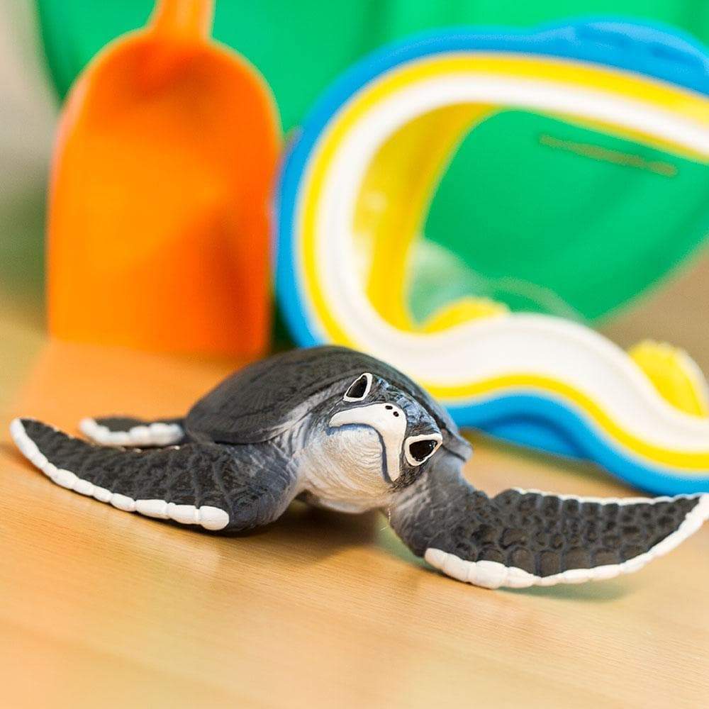 Baby turtle toys online