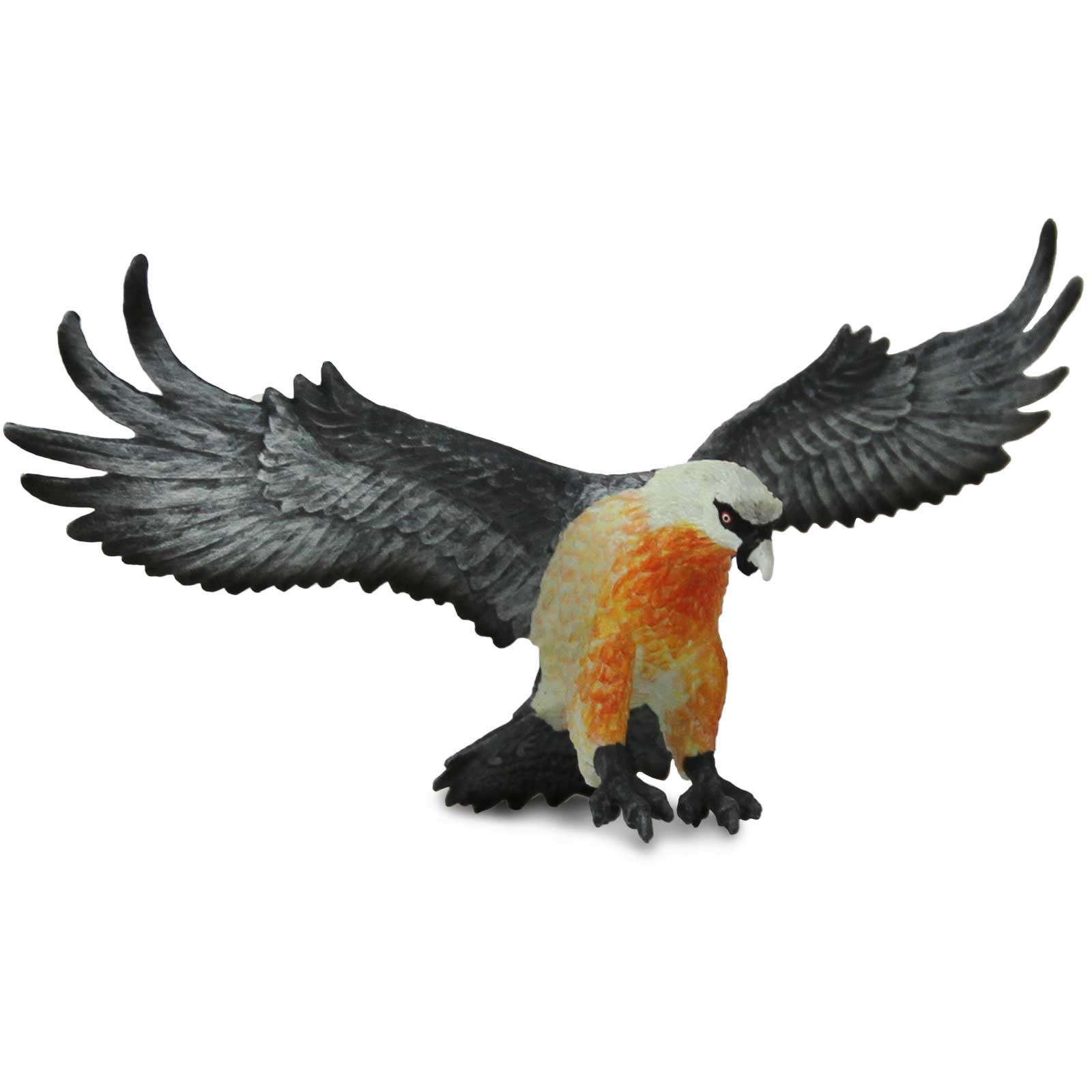 Bearded Vulture Toy Figure |  | Safari Ltd®