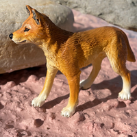 Dingo Toy