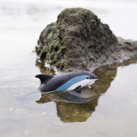 Atlantic White-Sided Dolphin Toy