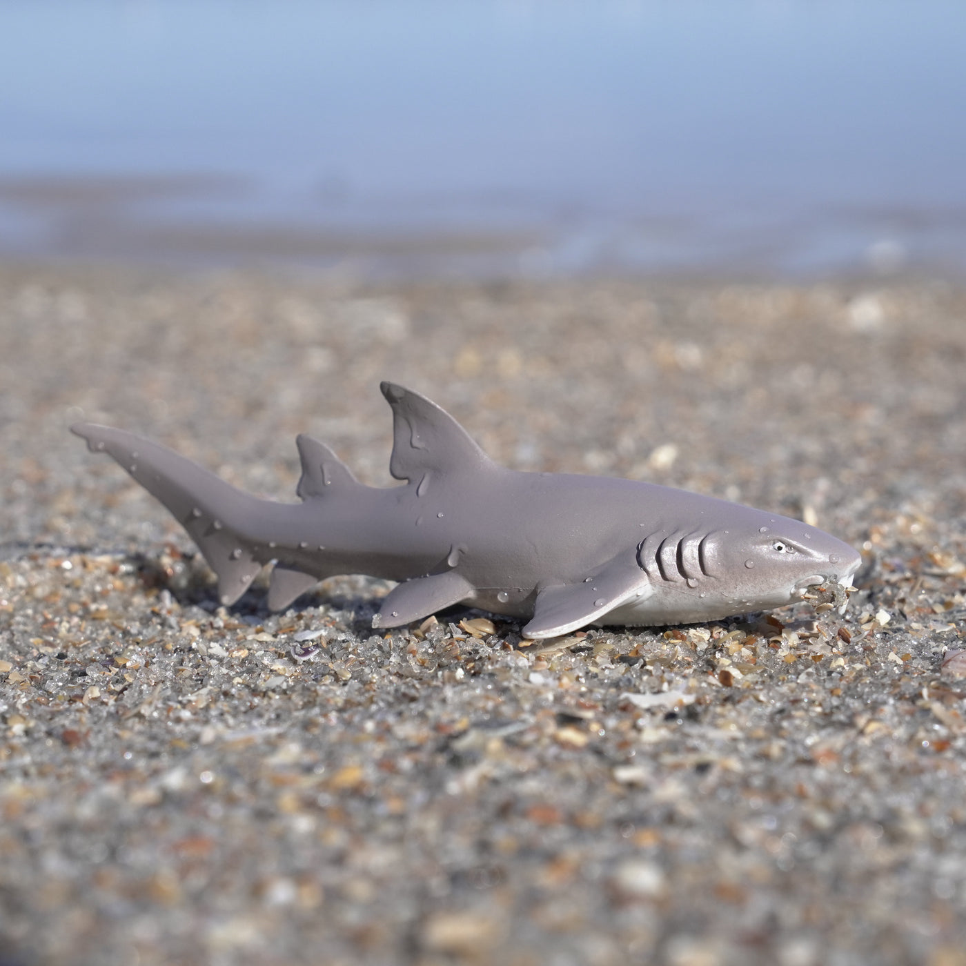 Nurse Shark Toy