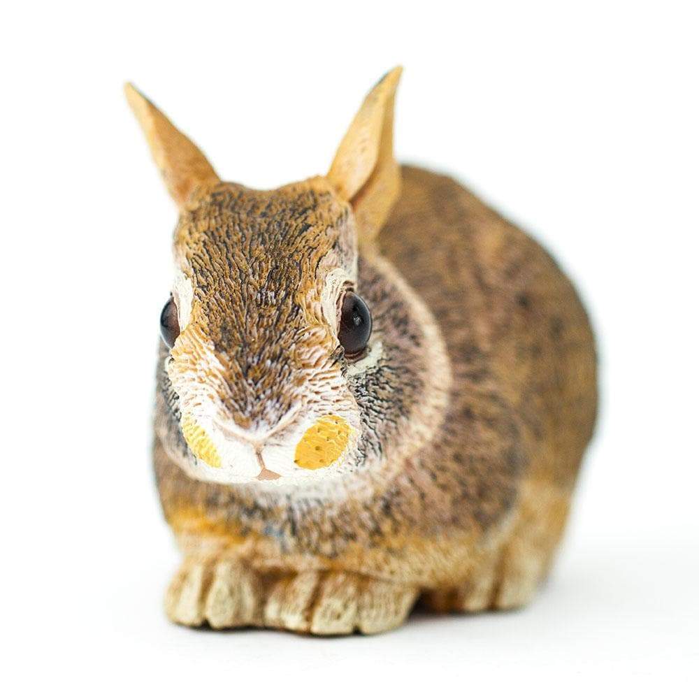 Eastern Cottontail Rabbit Baby Toy | Incredible Creatures | Safari Ltd®