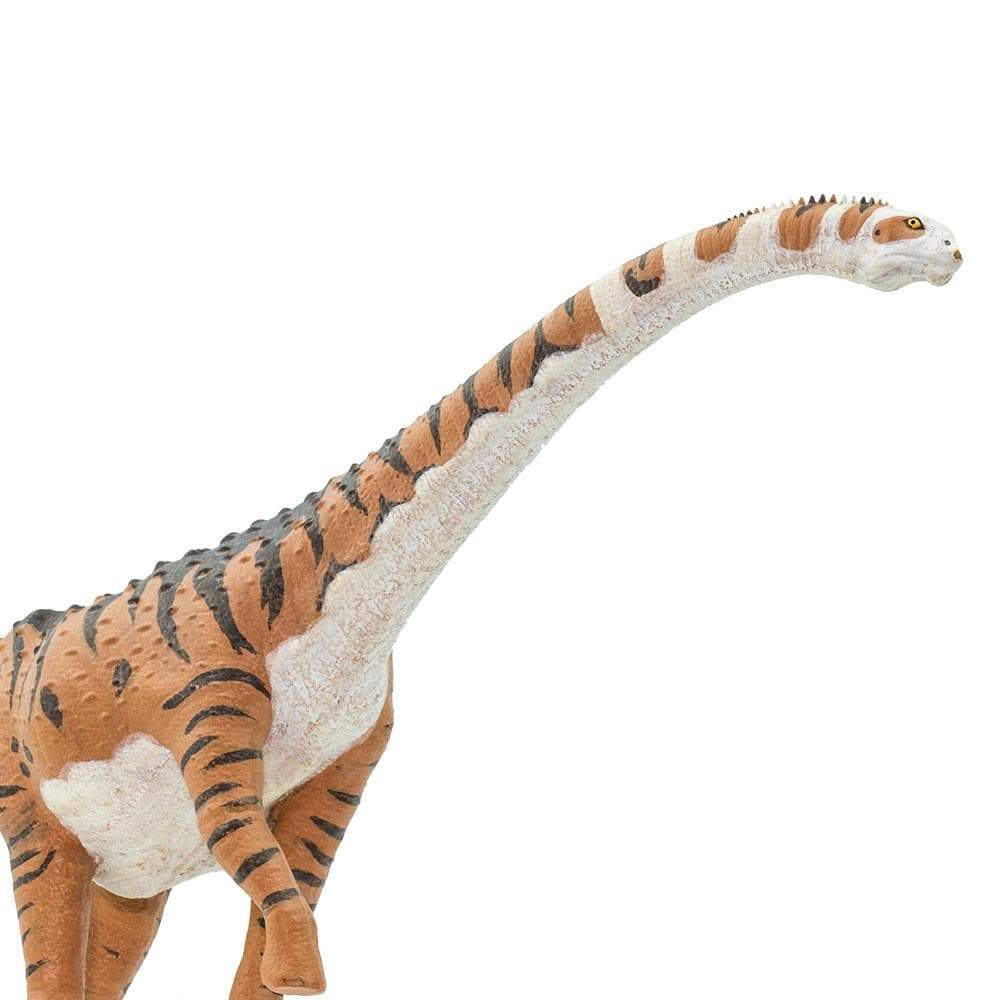 Malawisaurus Toy