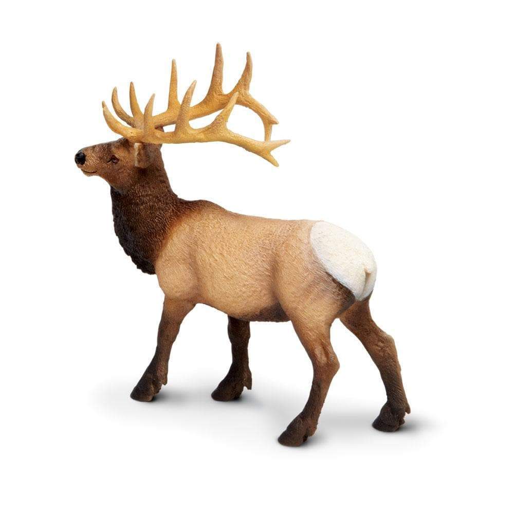 Elk Bull Toy | Wildlife Animal Toys | Safari Ltd®