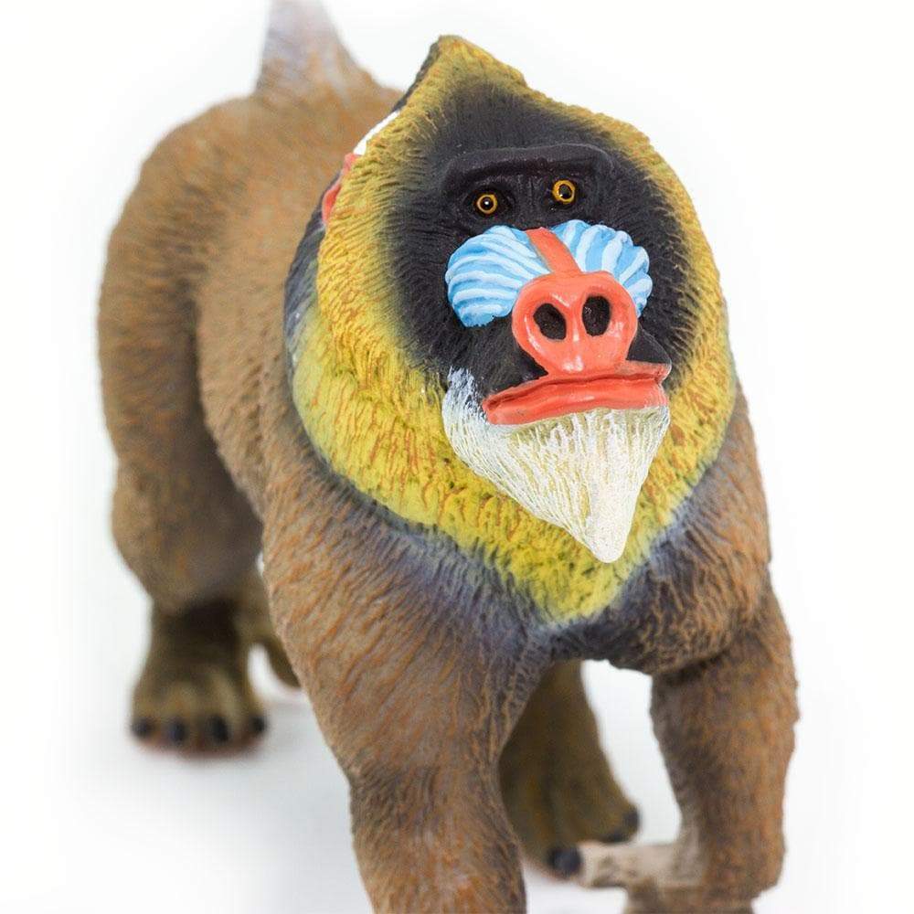 Mandrill Toy