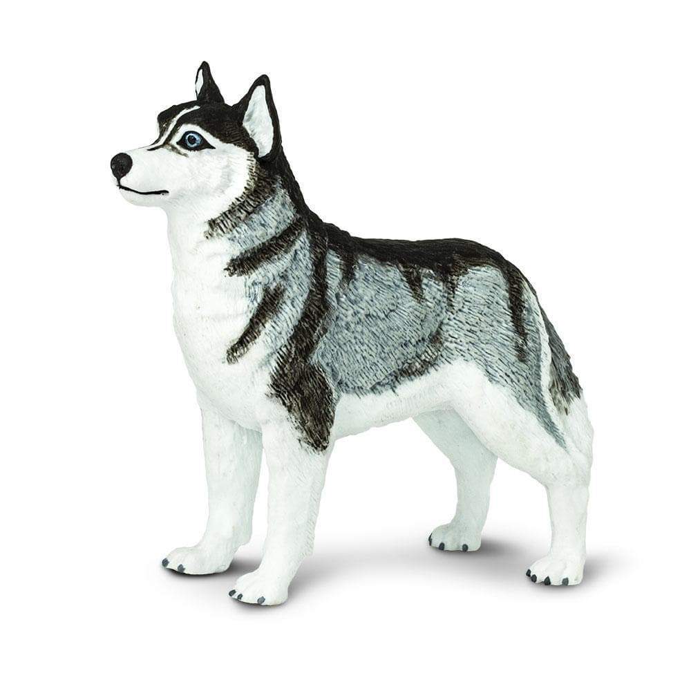 Siberian Husky Figurine Safari Ltd Safari Ltd