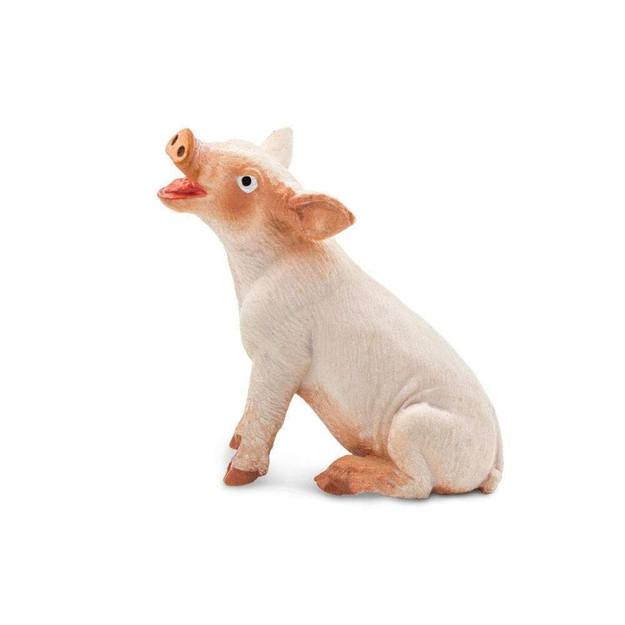 Sitting Piglet - Safari Ltd®