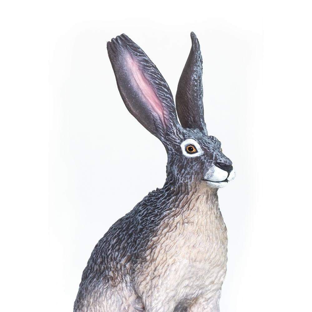 American Desert Hare Toy