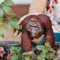 Bornean Orangutan Toy