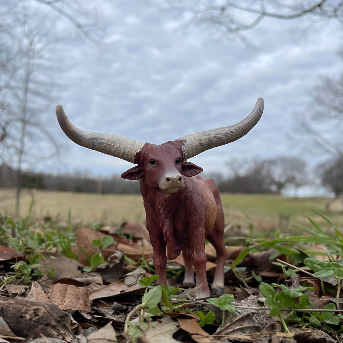 Watusi Bull Toy