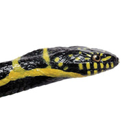 Chain Kingsnake Toy