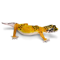 Leopard Gecko Toy Figure