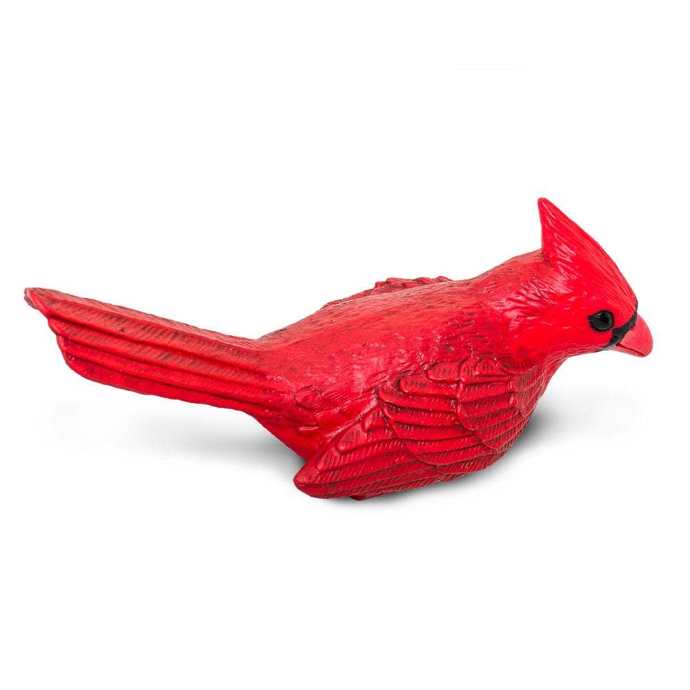 Cardinal Toy