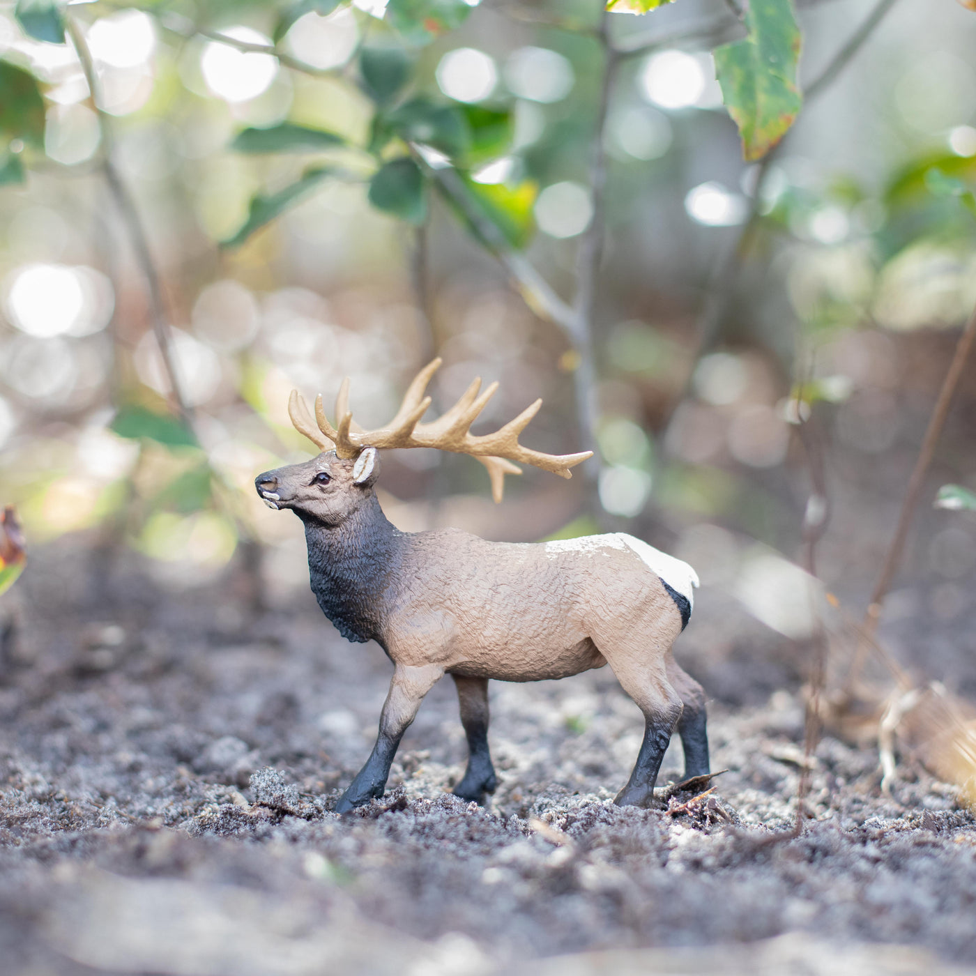 Elk Bull Toy | Wildlife Animal Toys | Safari Ltd®