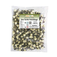 Sea Turtle Hatchlings - 192 pcs - Good Luck Minis® Toy Collectibles