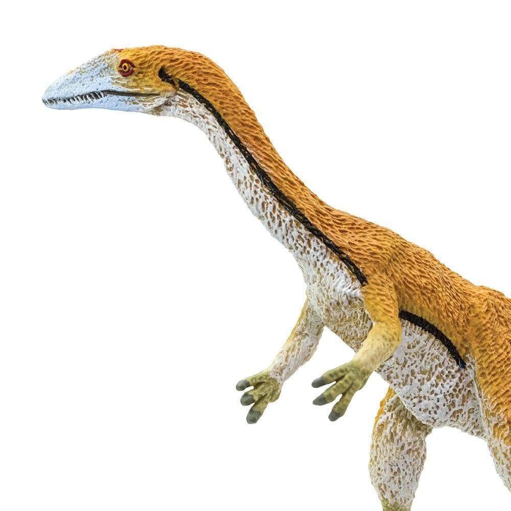 Coelophysis Toy